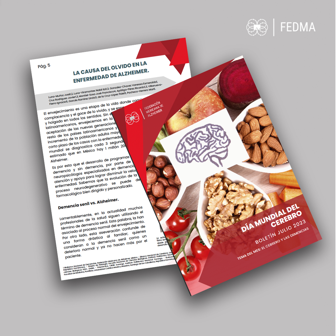 Federación Mexicana de Alzheimer - EL CREBRO Y LAS DEMENCIAS
